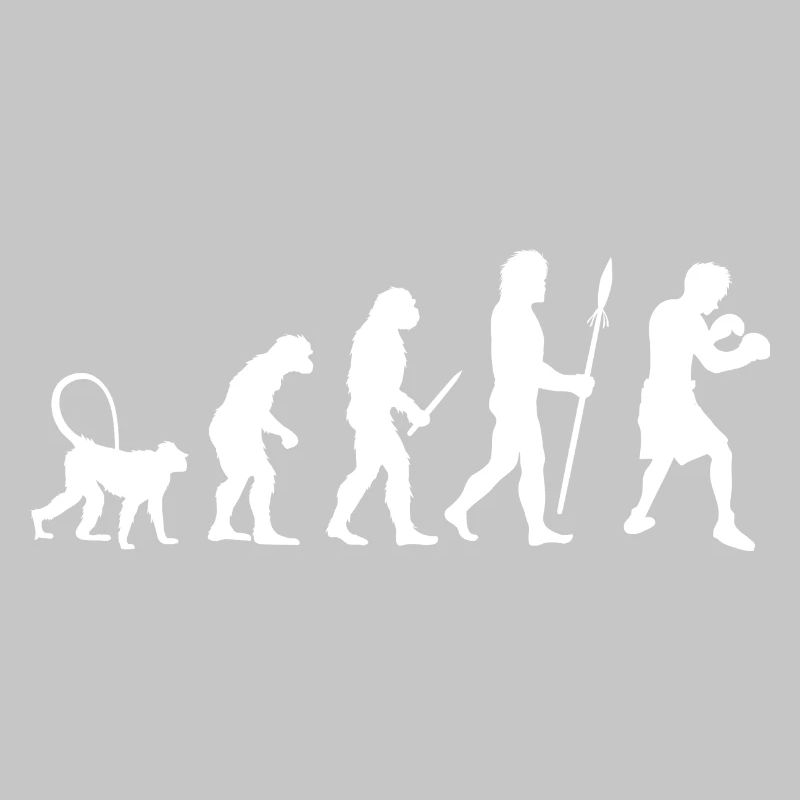 Evolution des Boxens