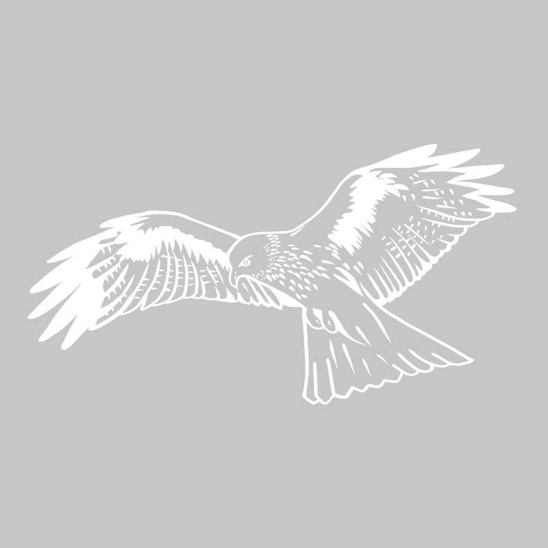 Falcon in white