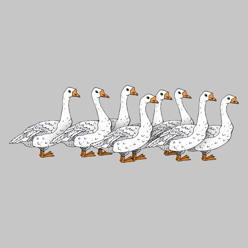 Gänse