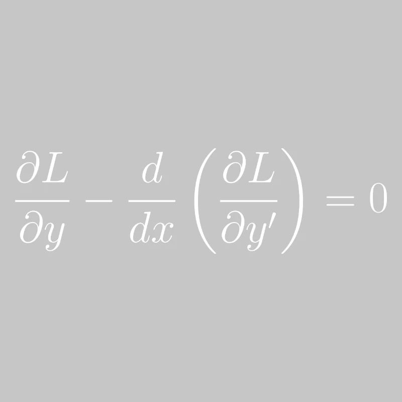 Euler-Lagrange-Gleichungsfundamentalphysik