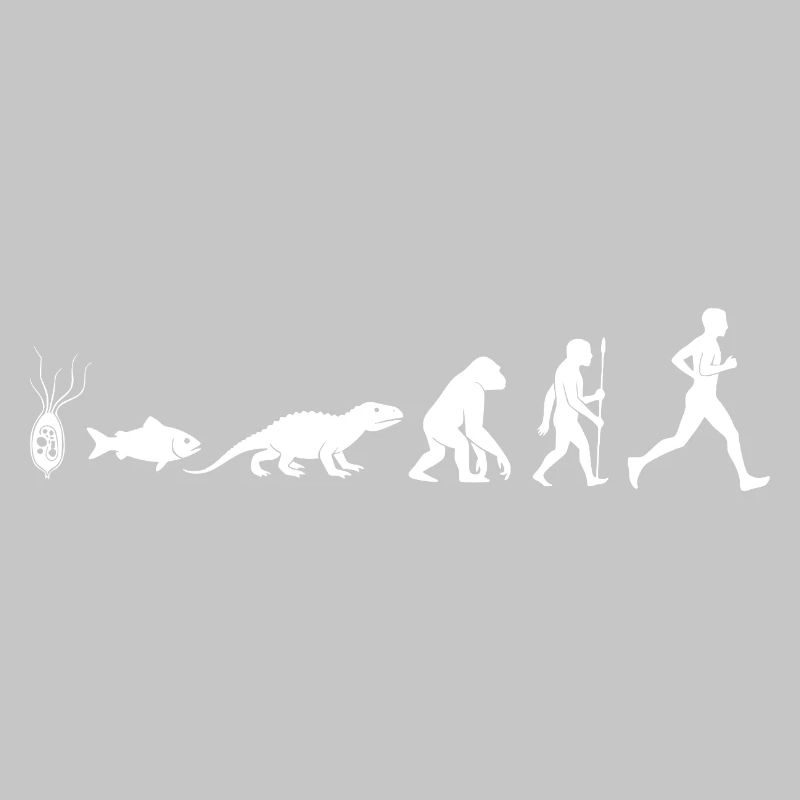Evolution Run Fitness Silhouette