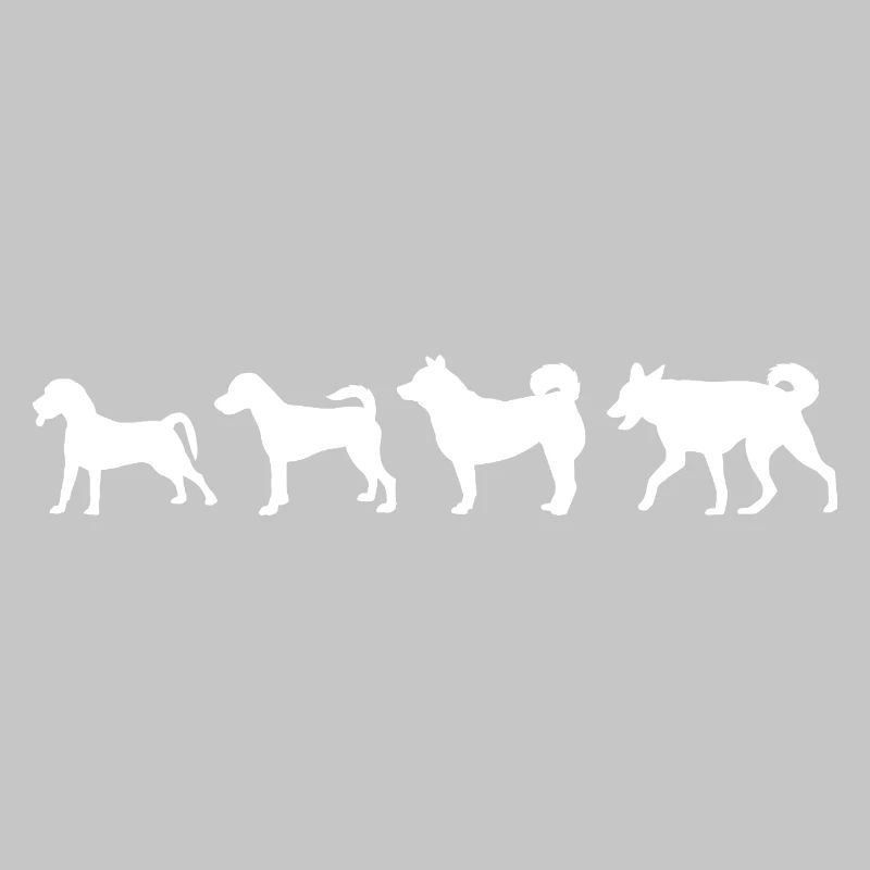 Évolution du chien