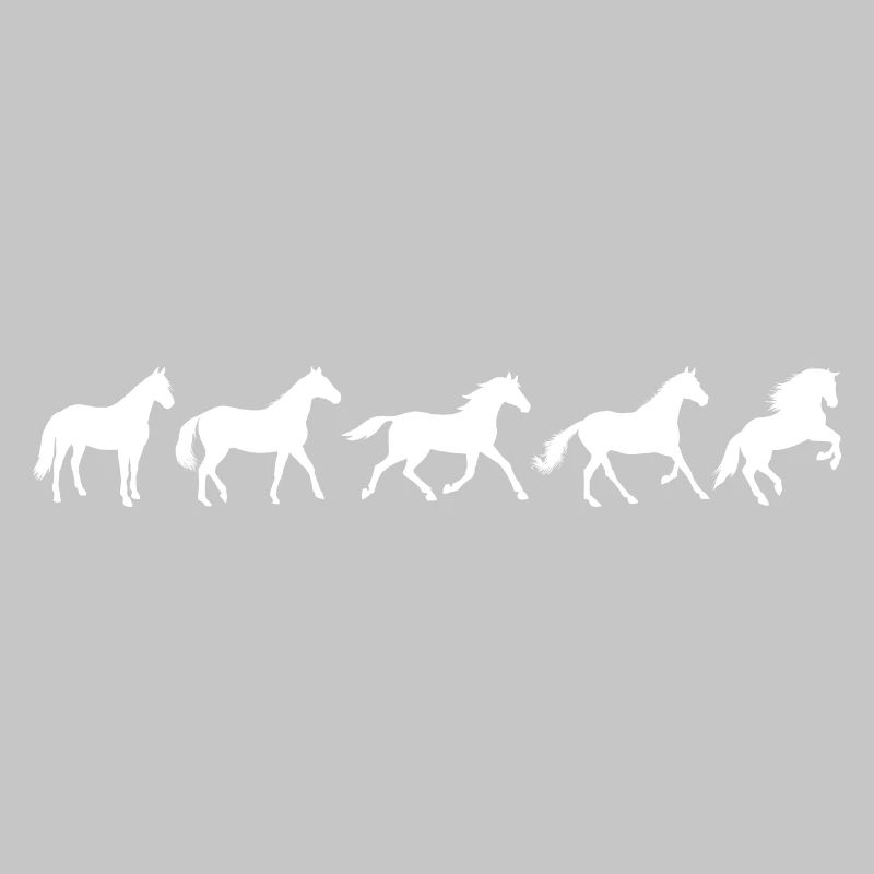 ! Evolution Pferd in Bewegung