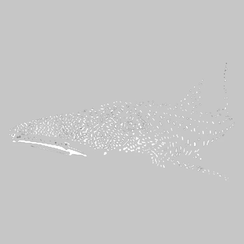 Whale shark