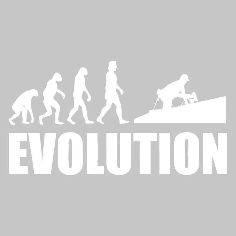 Evolution to Innovation