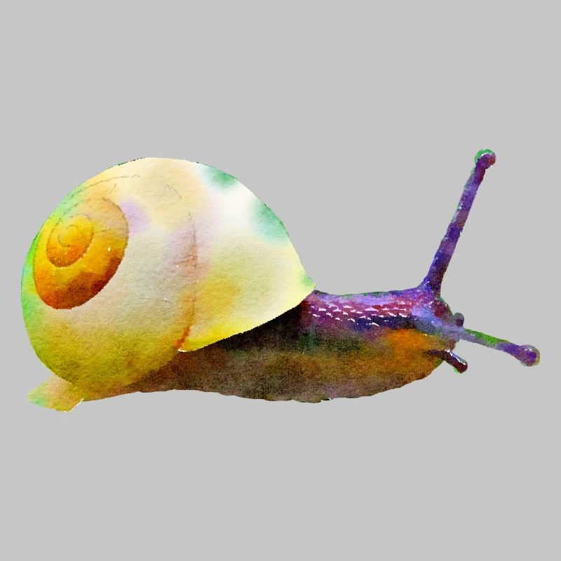 snail