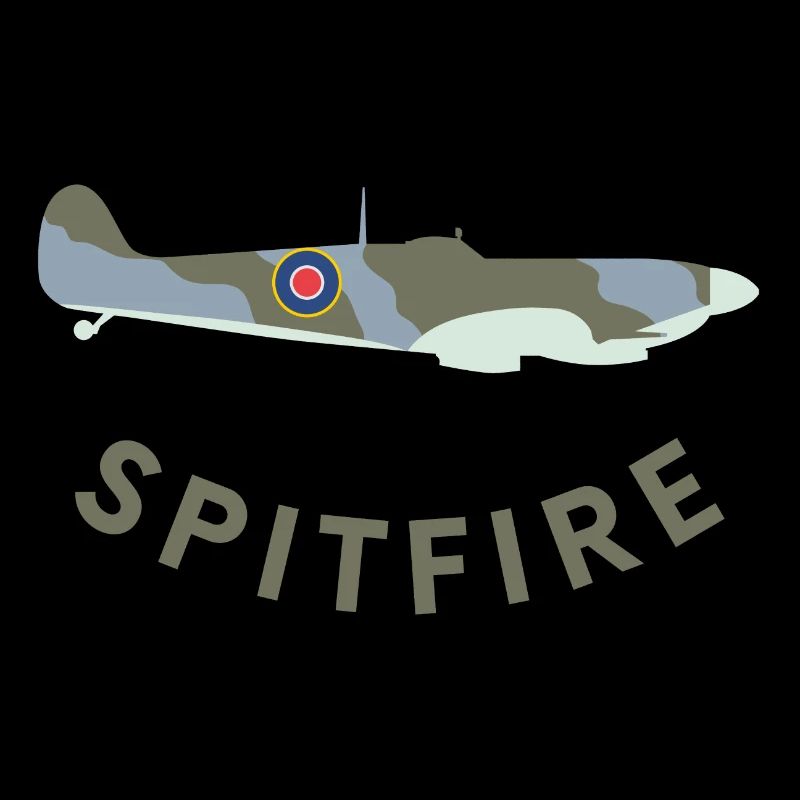 Spitfire fighter plane