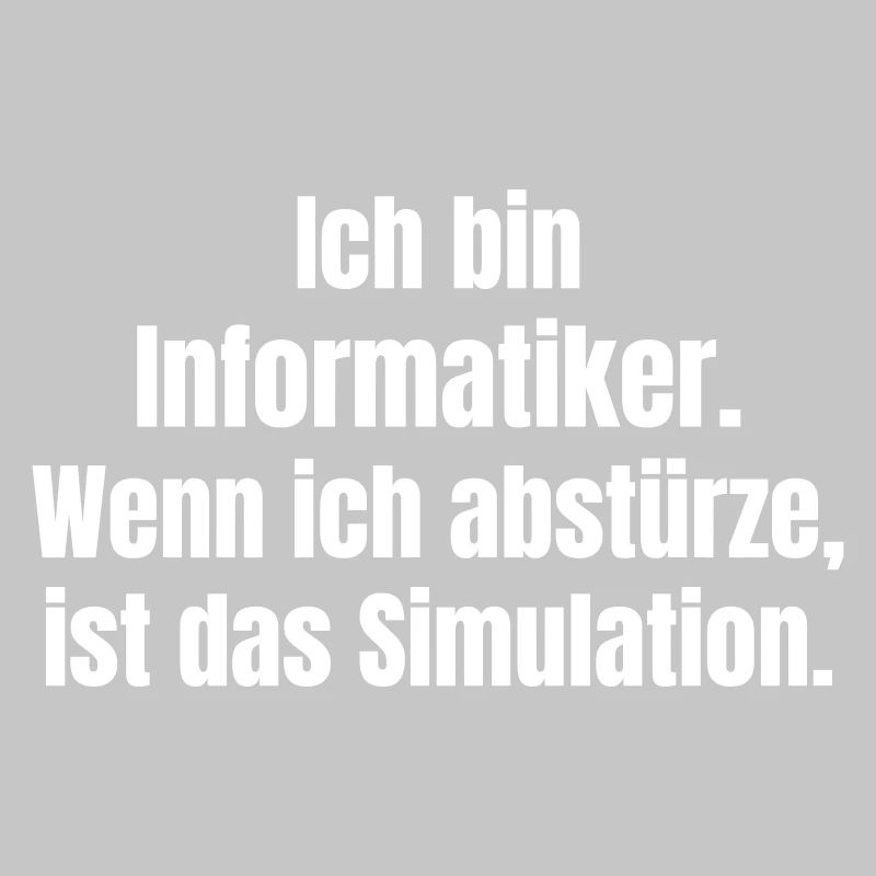 Ich bin Informatiker – Absturz als Simulation