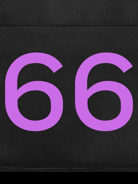 66