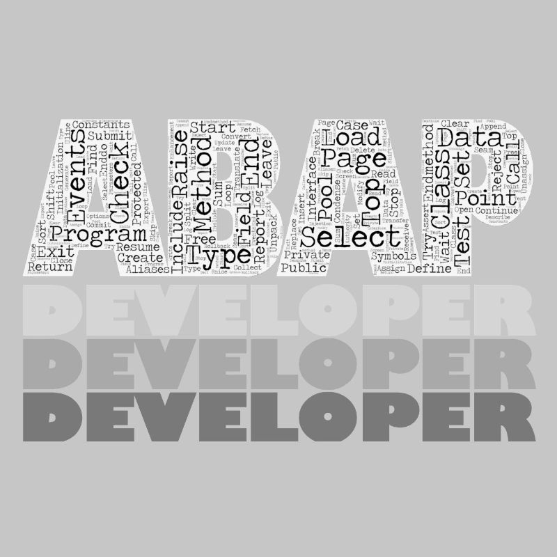 ABAP Developer