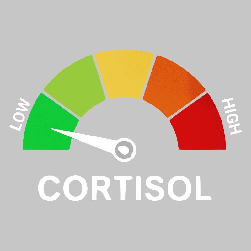 Échelle de cortisol bas