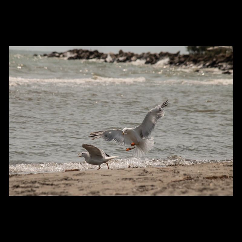 Zwischen Himmel und Meer