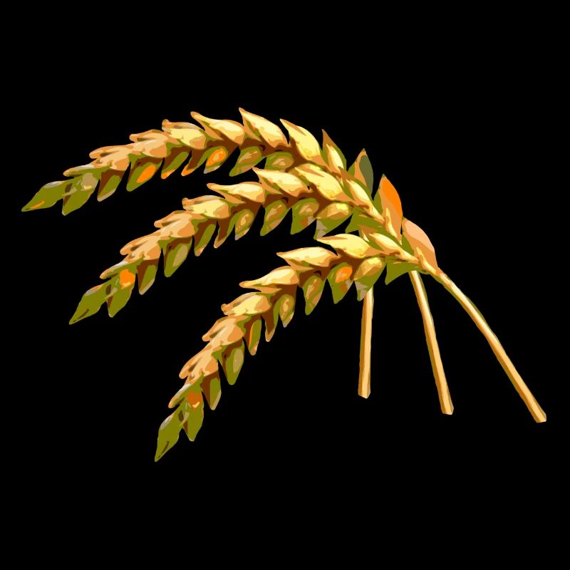grain