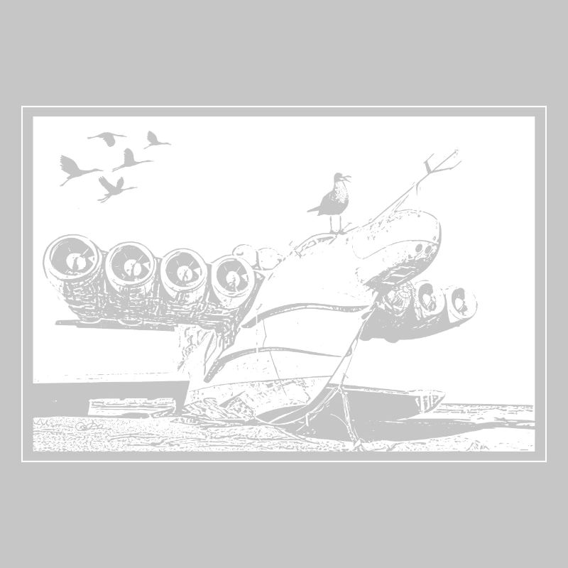 Epave d'avion