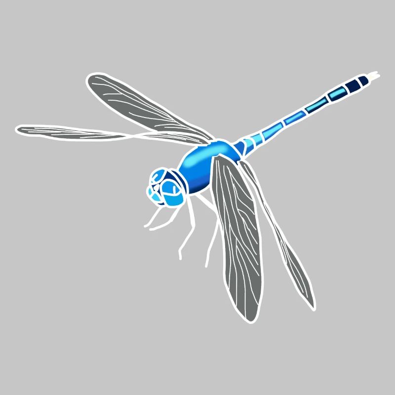 dragonfly