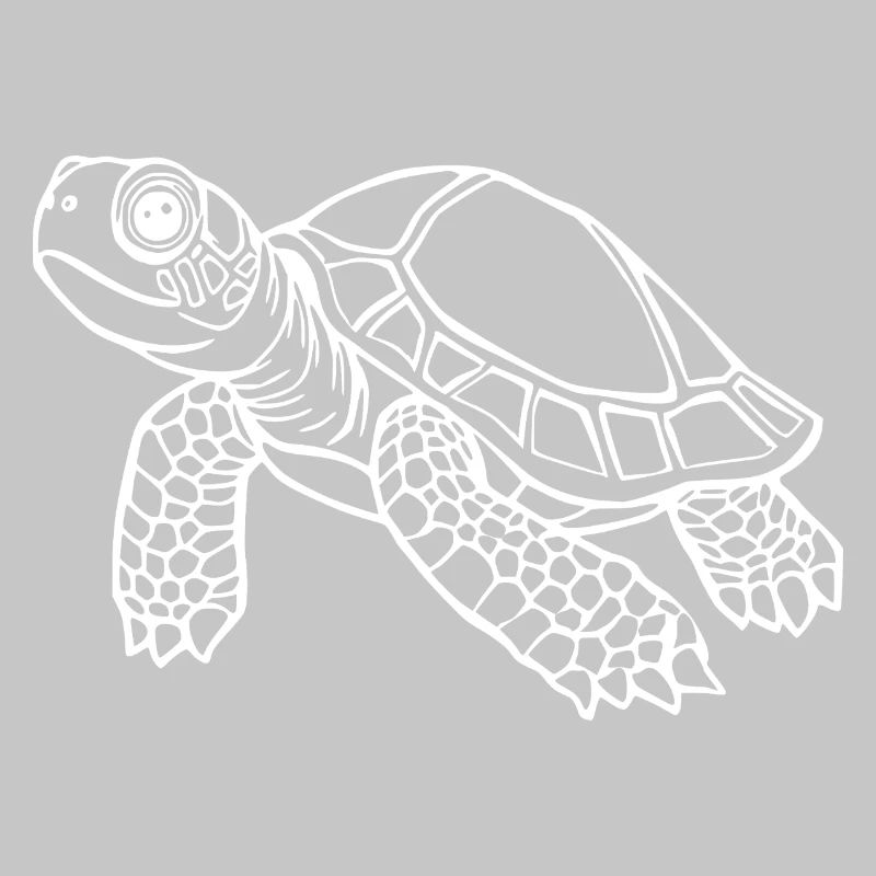 Turtle Turtles