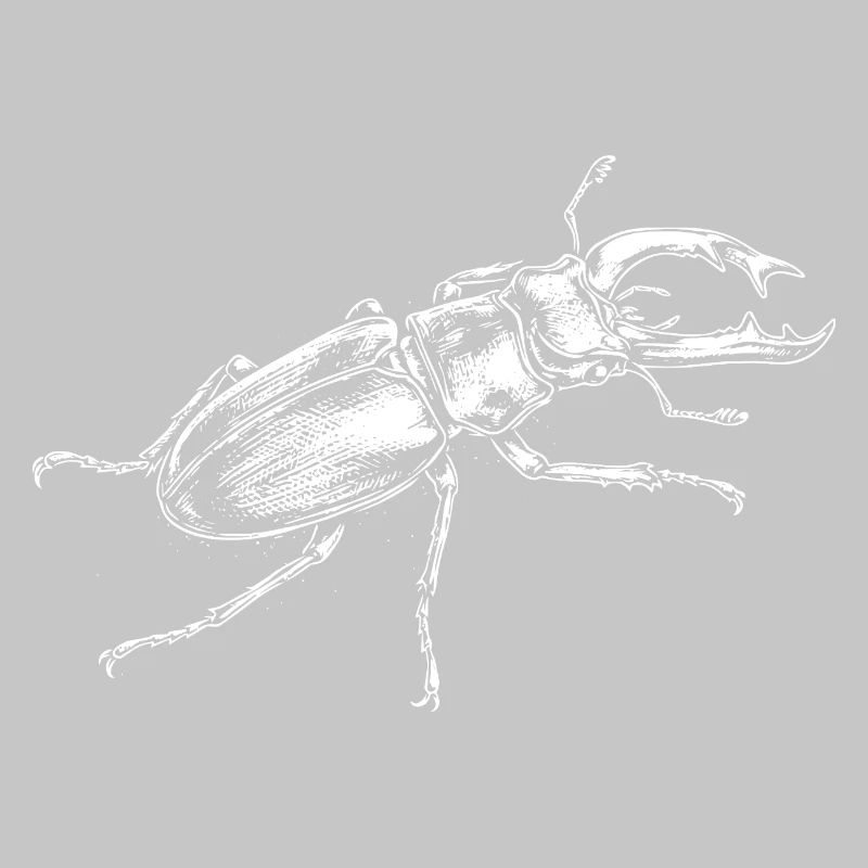 Conception de gros insectes