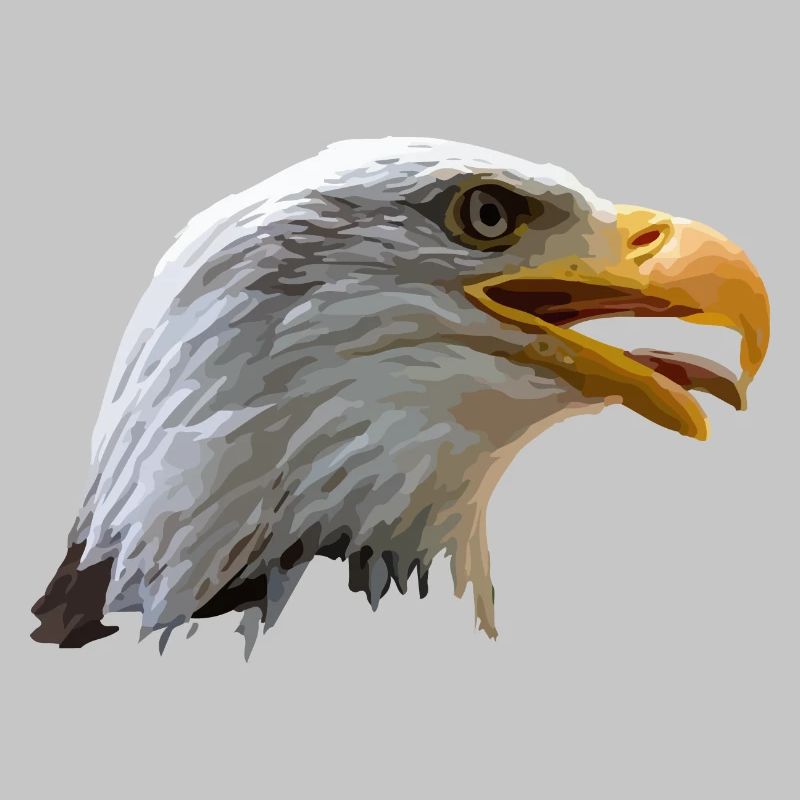 bald eagle
