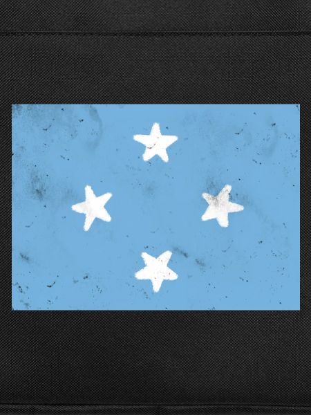 Flag of Micronesia