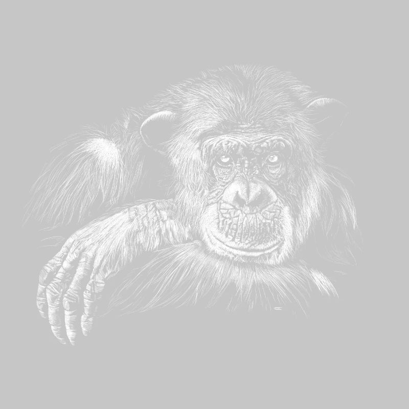Affe