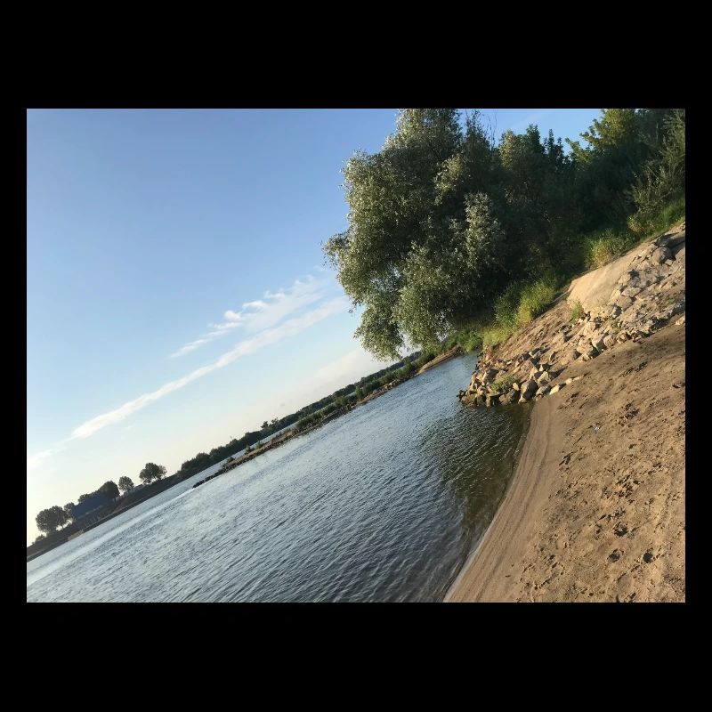 Nature by the river with trees and shore