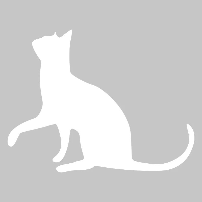 Chat chat chat chat chatte minette minou minou patte