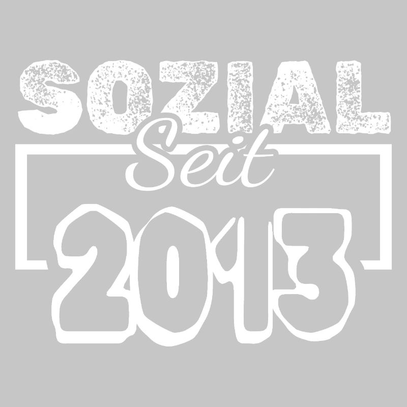 seit 2013