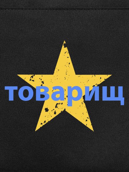 товарищ