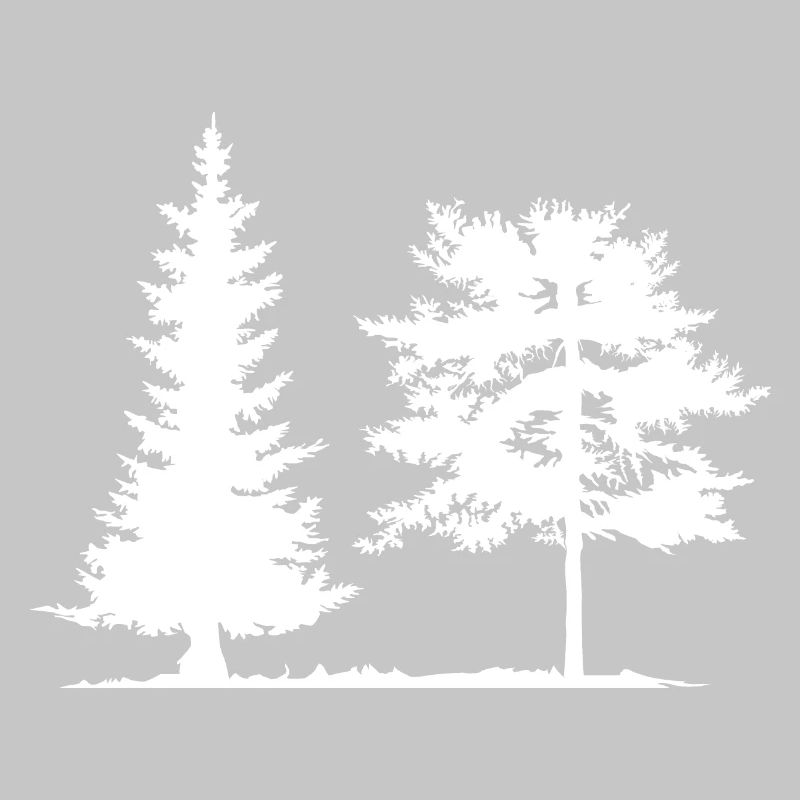 Tree, Spruce, Forest, Camping, Nature, Mixed Forest, Pine