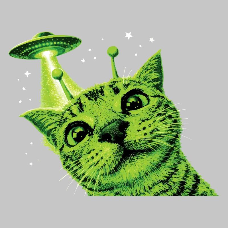 OVNI Alien Cat
