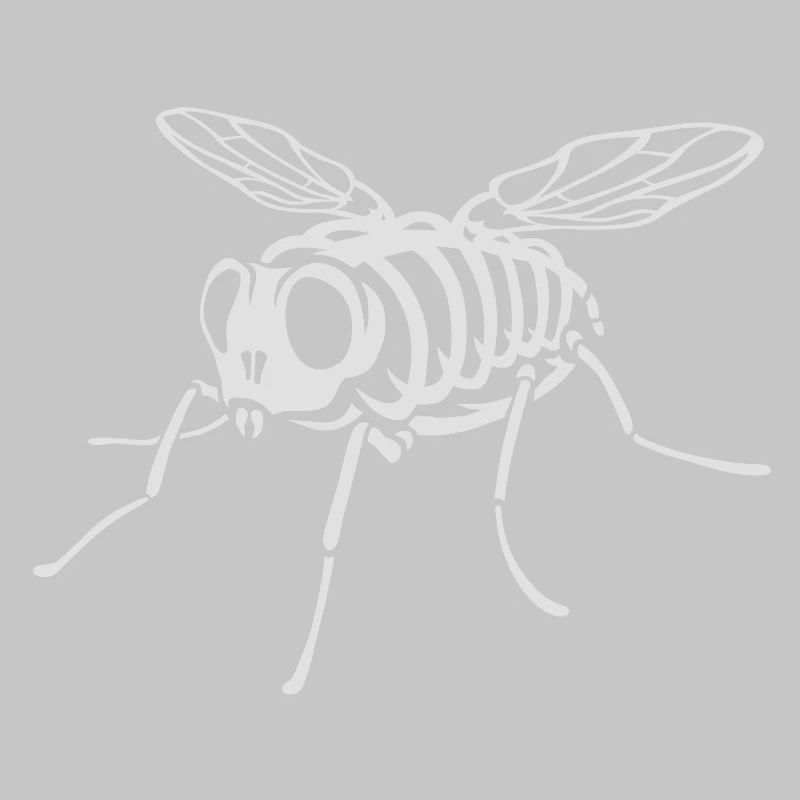 Skeleton Fly