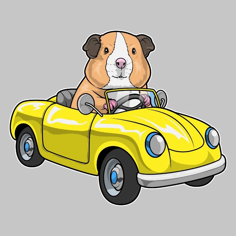 Voiture cochon d’Inde