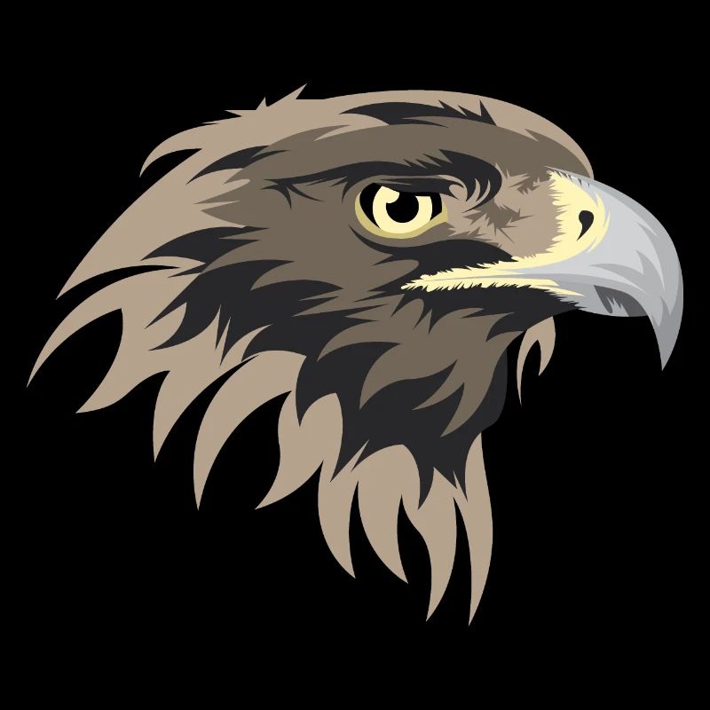 Eagle head illustration golden eagle icon icon