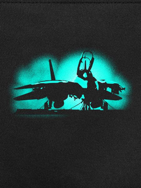 Jet Tomcat