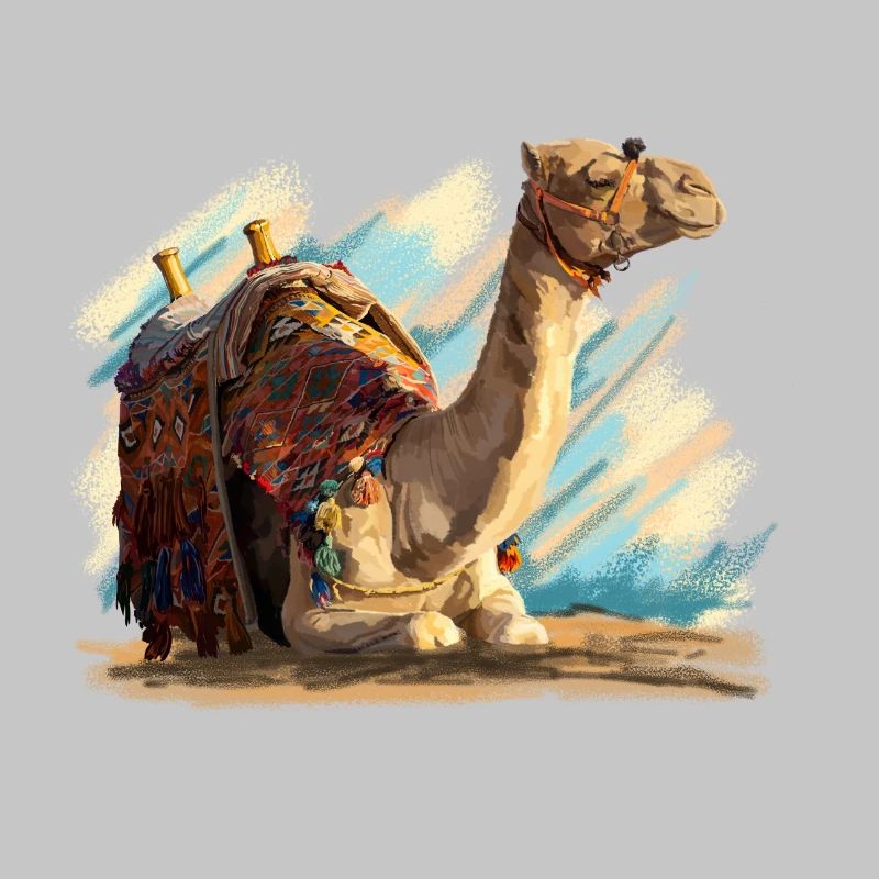 Camel