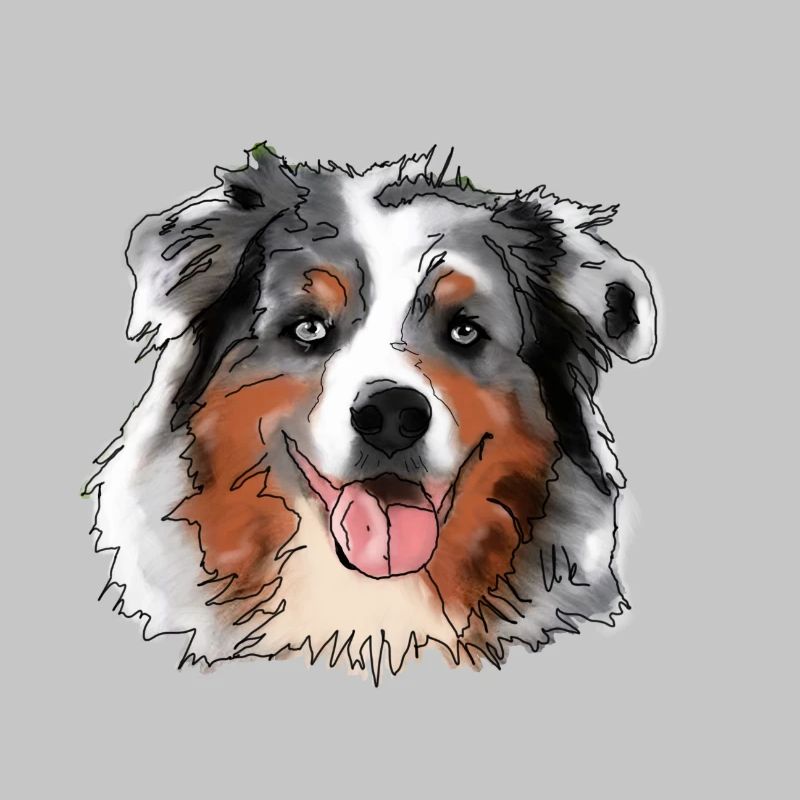 Australian Shepherd