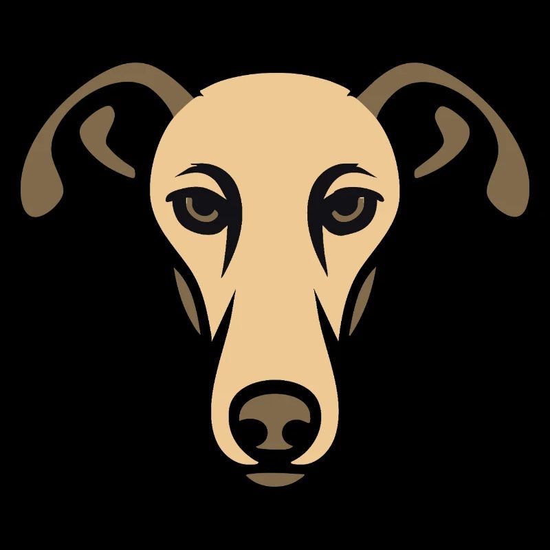 Windhund, Galgo