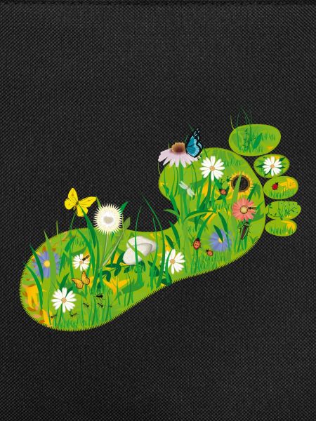 ecological Footprint