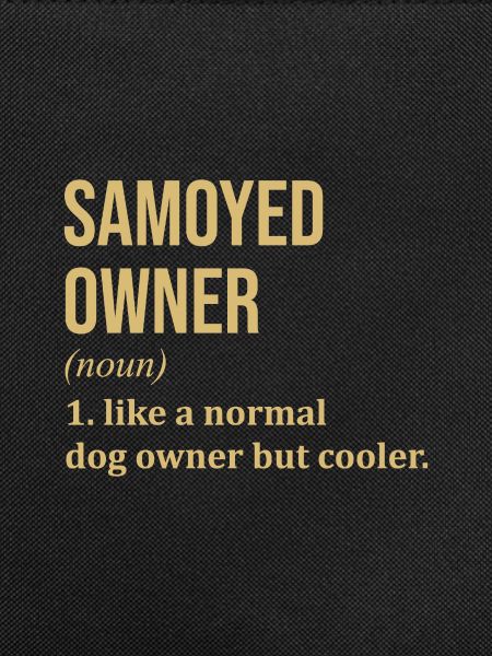 Samoyed Samoyed Samoyed