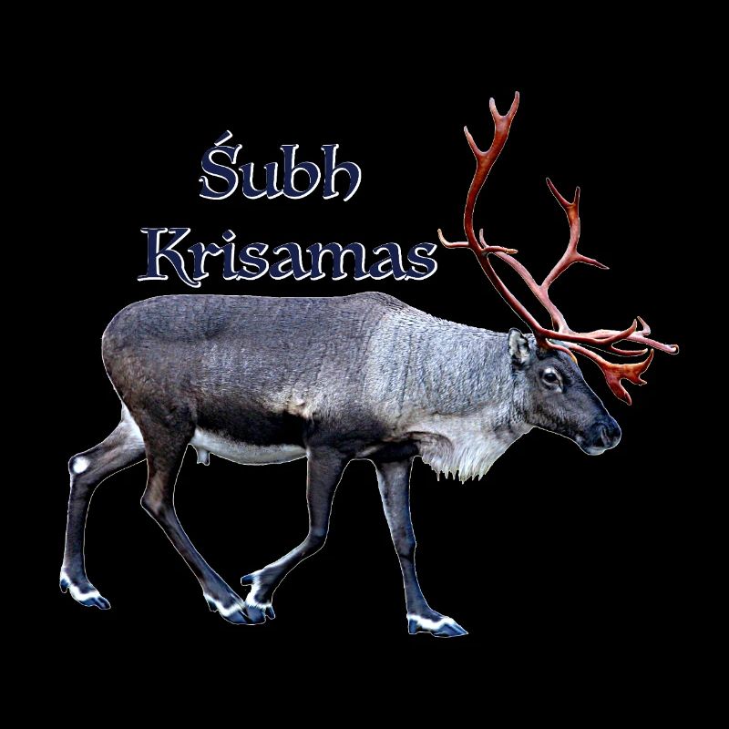 Subh Krisamas