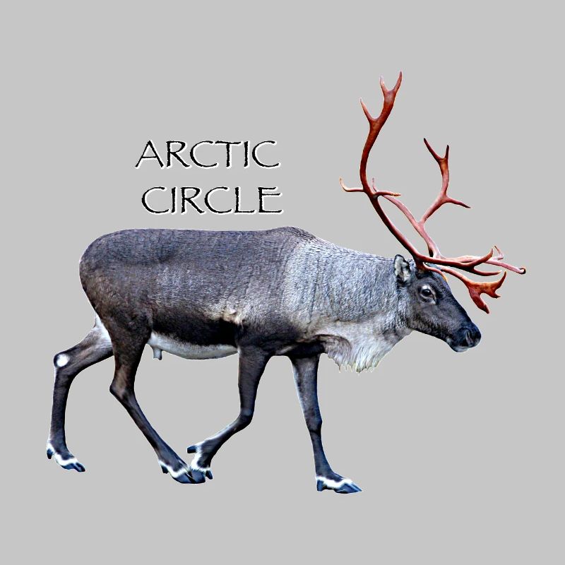 Arctic Circle