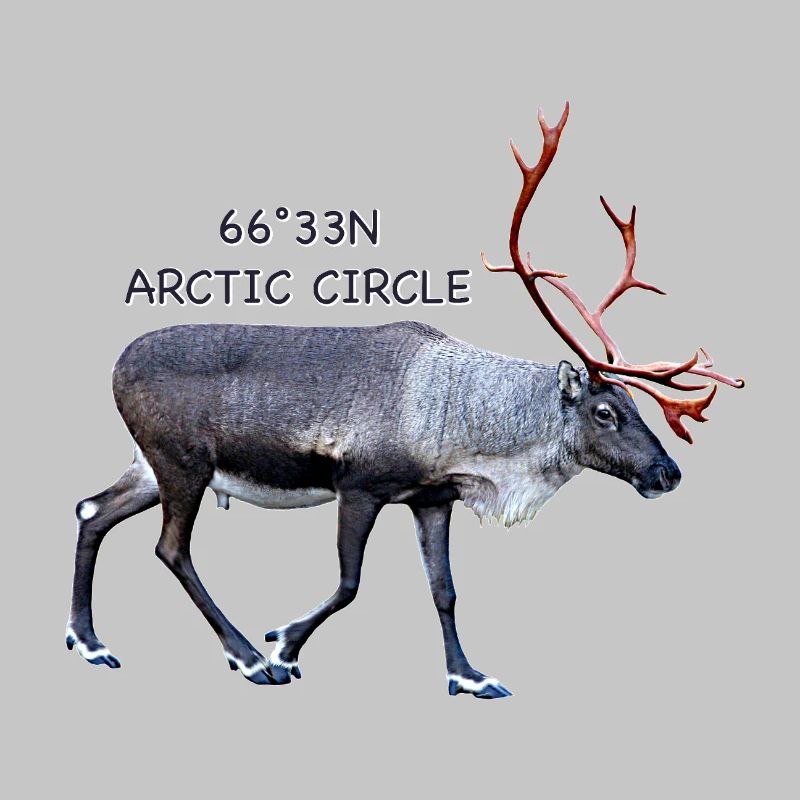 Arctic Circle