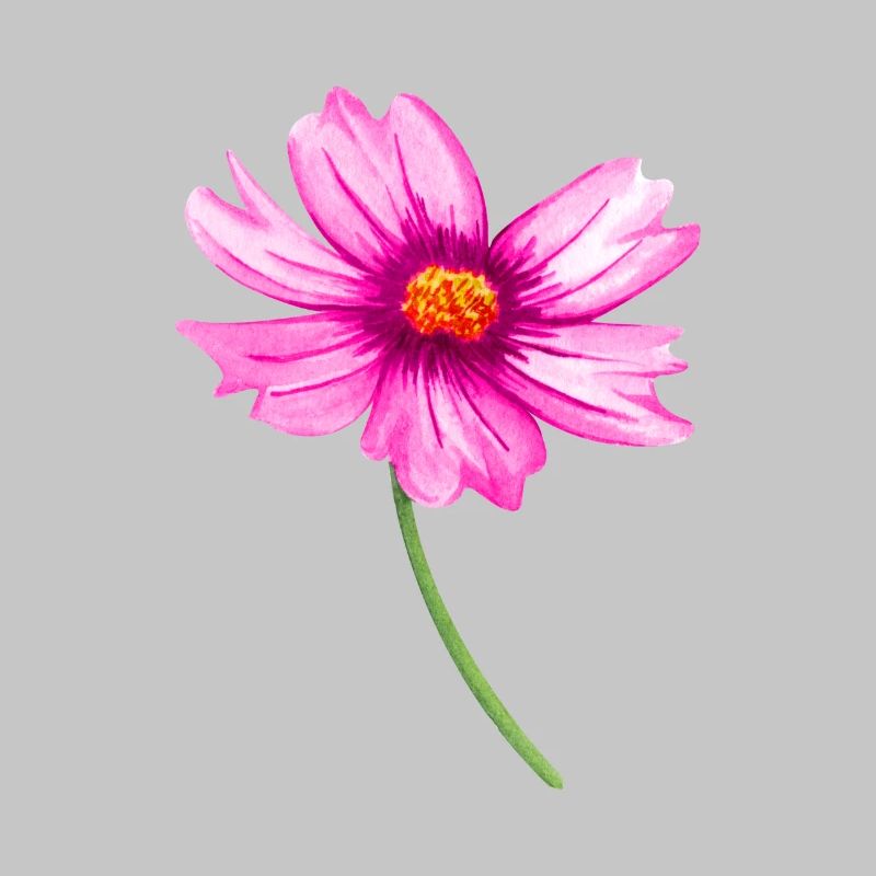 Blume