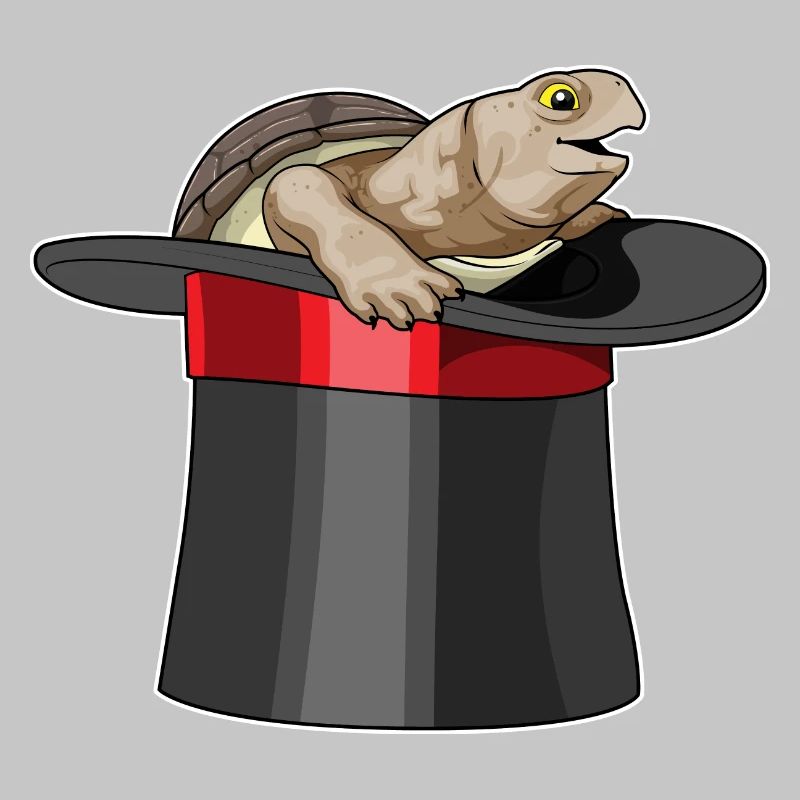 Cylindre Turtle Wizard