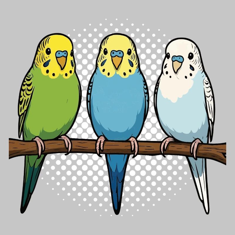 Budgerigars Budgie Owners Budgies