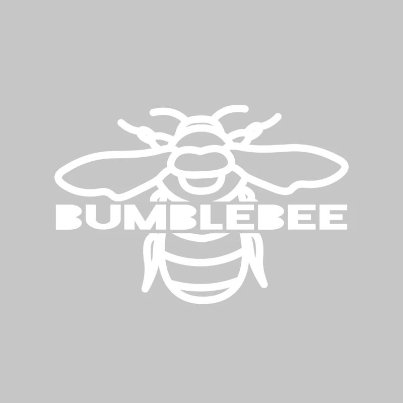Bumblebee Bold Typografie
