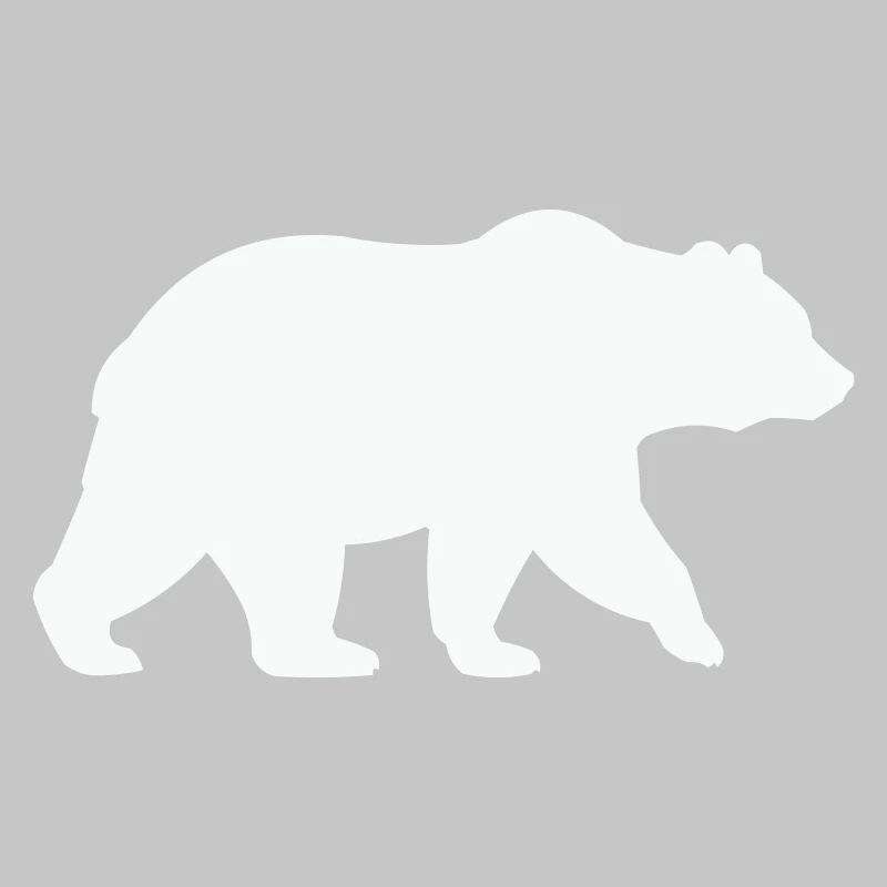 baer-
