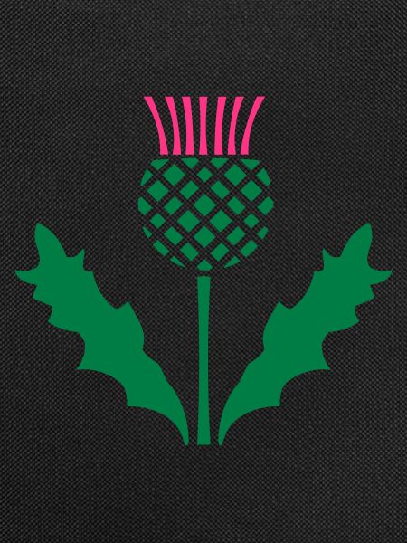 Scottish Thistle