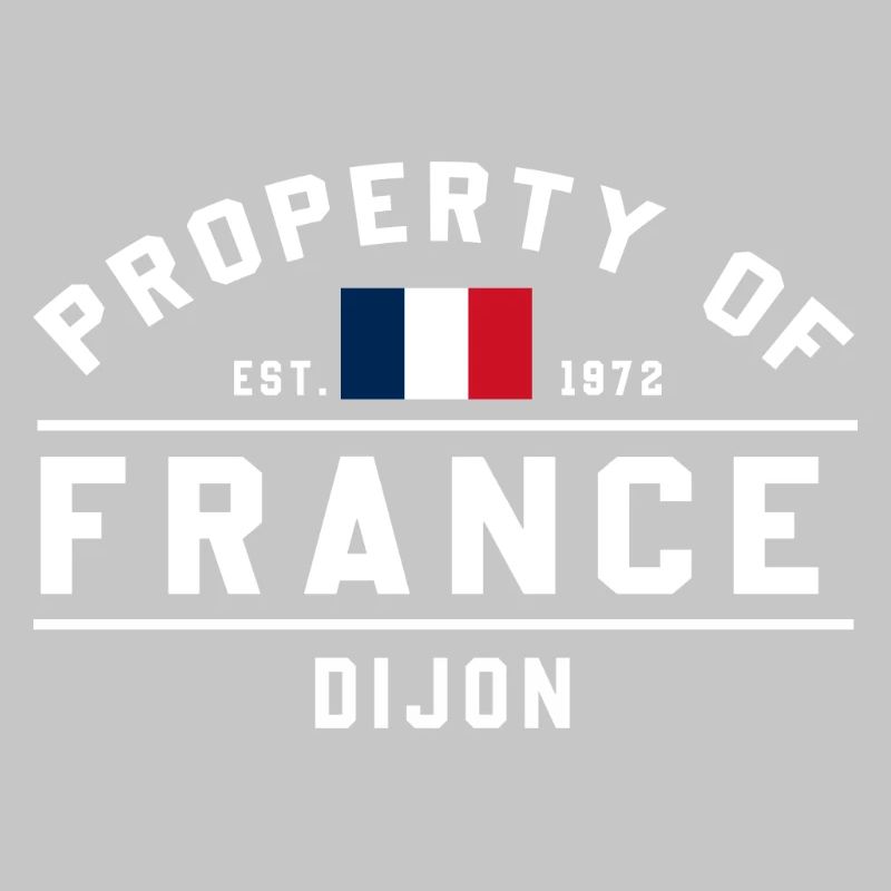 Drapeau français Graphique Logo de Dijon