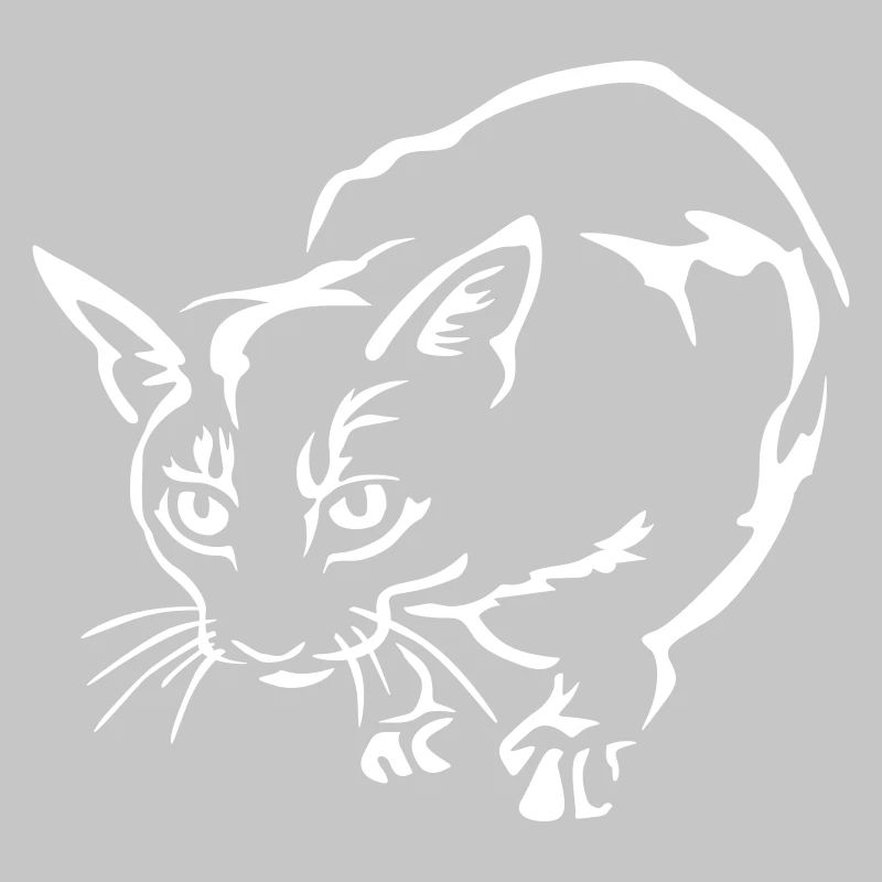 Abessiner Katze "Black Edition"